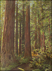 National Park Servoce